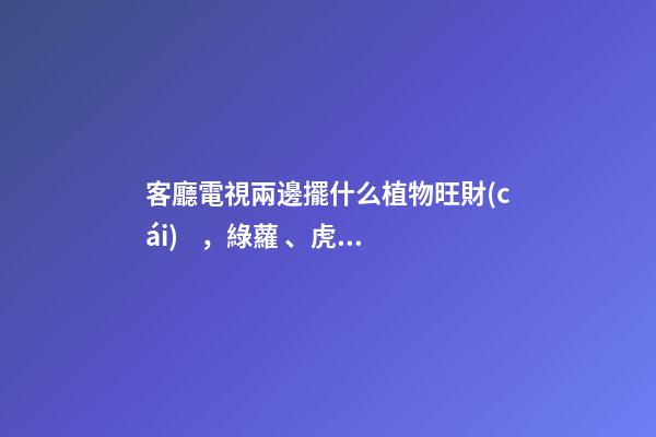 客廳電視兩邊擺什么植物旺財(cái)，綠蘿、虎皮蘭、發(fā)財(cái)樹